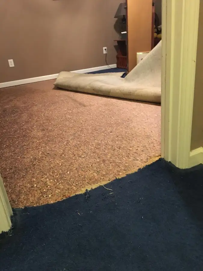 Carpet pad removal revealing water damage during Water Mitigation Services in Billerica